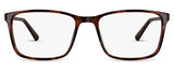 C1Tortoiseshell